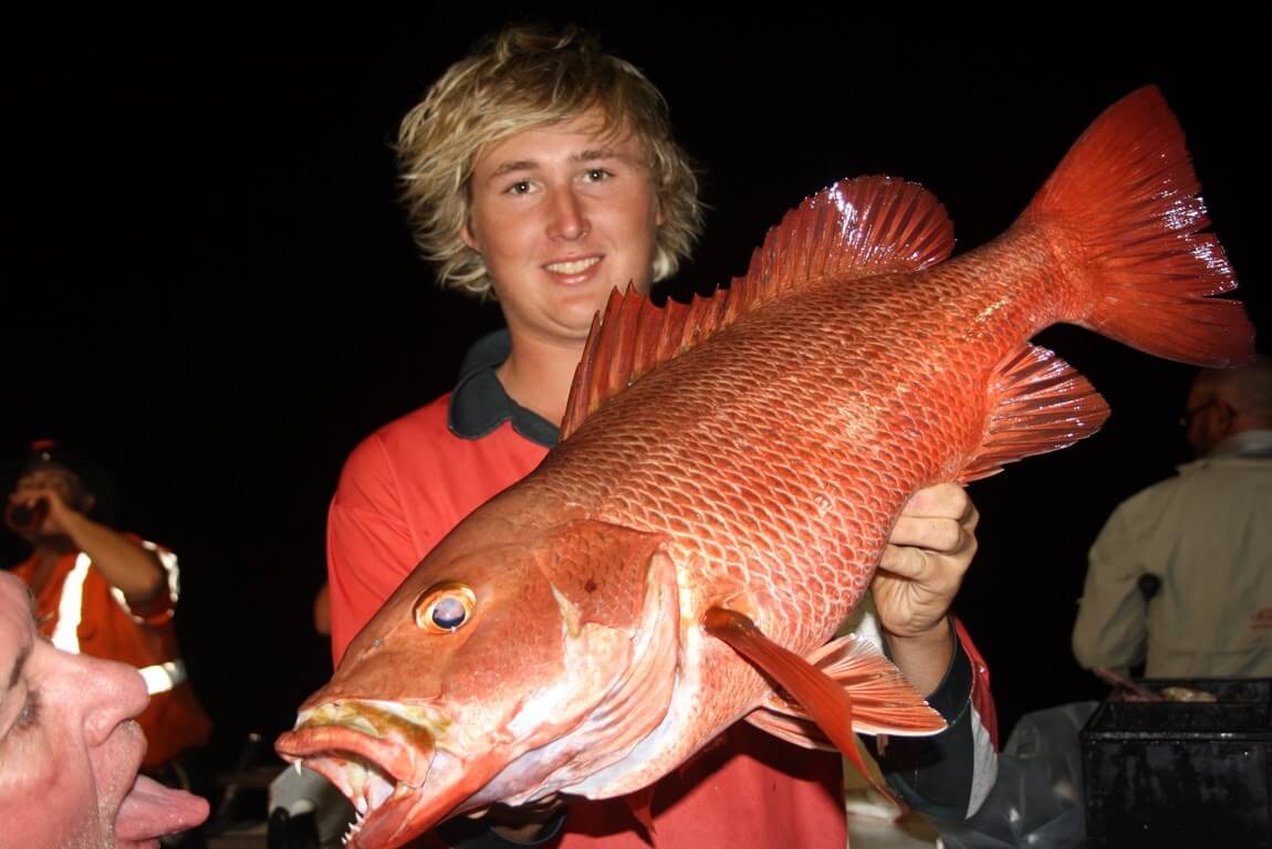 Cairns Reef Fishing Charters During the Wet Season